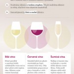 Jak vybrat správnou sklenici na víno – infografika