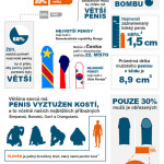Zajímavá fakta o penisu – Infografika