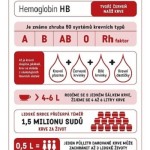 Objevte lidskou krev – Infografika
