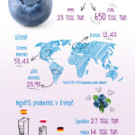 Produkce (ne)obyčejného ovoce – Infografika