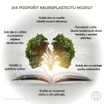 Podpořte neuroplasticitu mozku